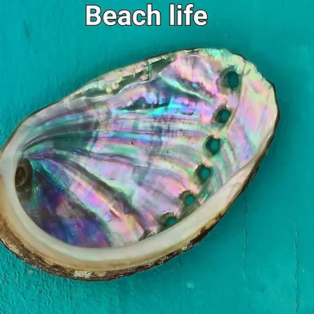 شقة Marina Port D'aro بلاتجا ذارو