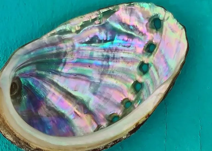 Appartement Marina Port D'aro Castell-Platja d'Aro